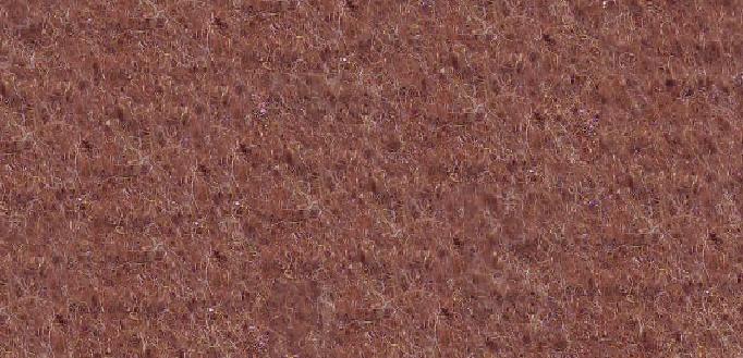 Camel Brown